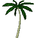 Palm Tree wiggle